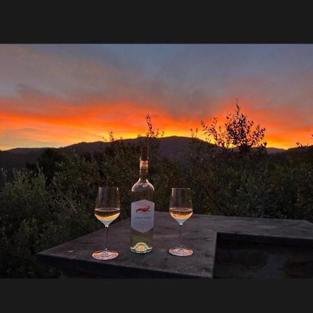 Il Gabbiano Di Pieve Bed and Breakfast Pieve Ligure Εξωτερικό φωτογραφία