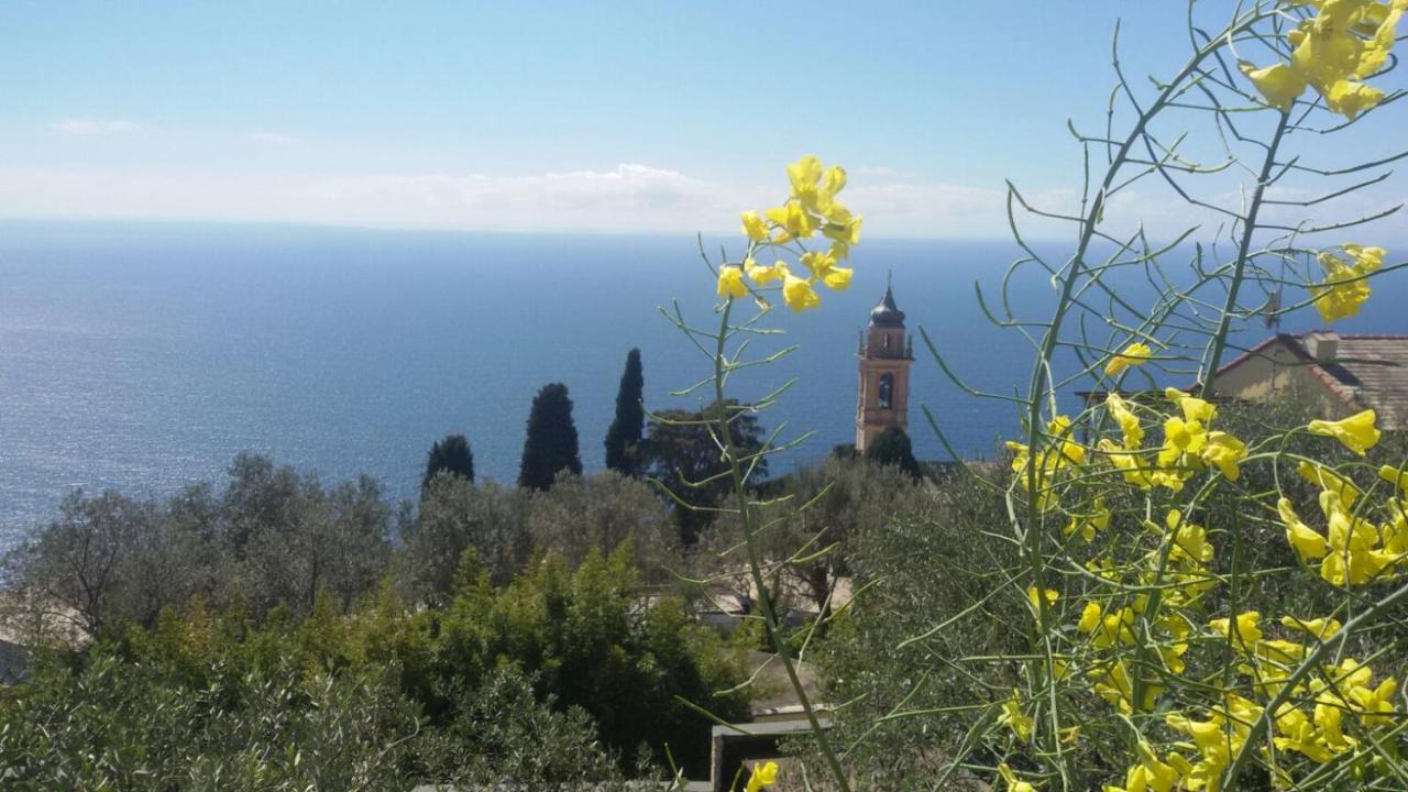 Il Gabbiano Di Pieve Bed and Breakfast Pieve Ligure Εξωτερικό φωτογραφία