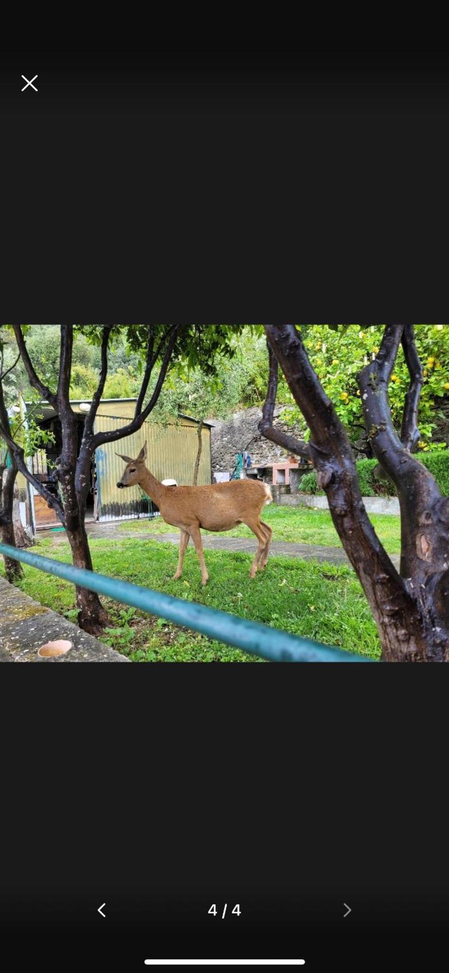 Il Gabbiano Di Pieve Bed and Breakfast Pieve Ligure Εξωτερικό φωτογραφία