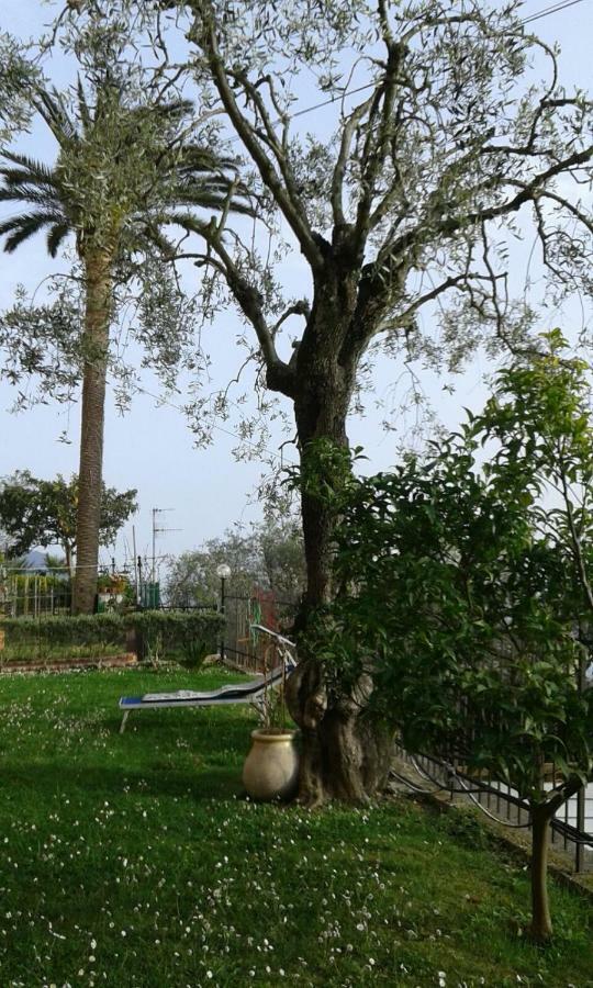 Il Gabbiano Di Pieve Bed and Breakfast Pieve Ligure Εξωτερικό φωτογραφία